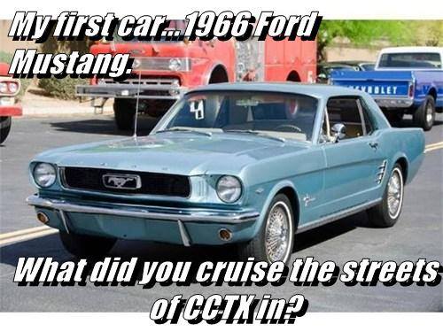Did you drive one; or Did you want one?
